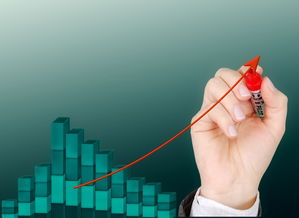 AC Milan官方APP下载-运动项目职业路径设计与发展研究，运动职业化