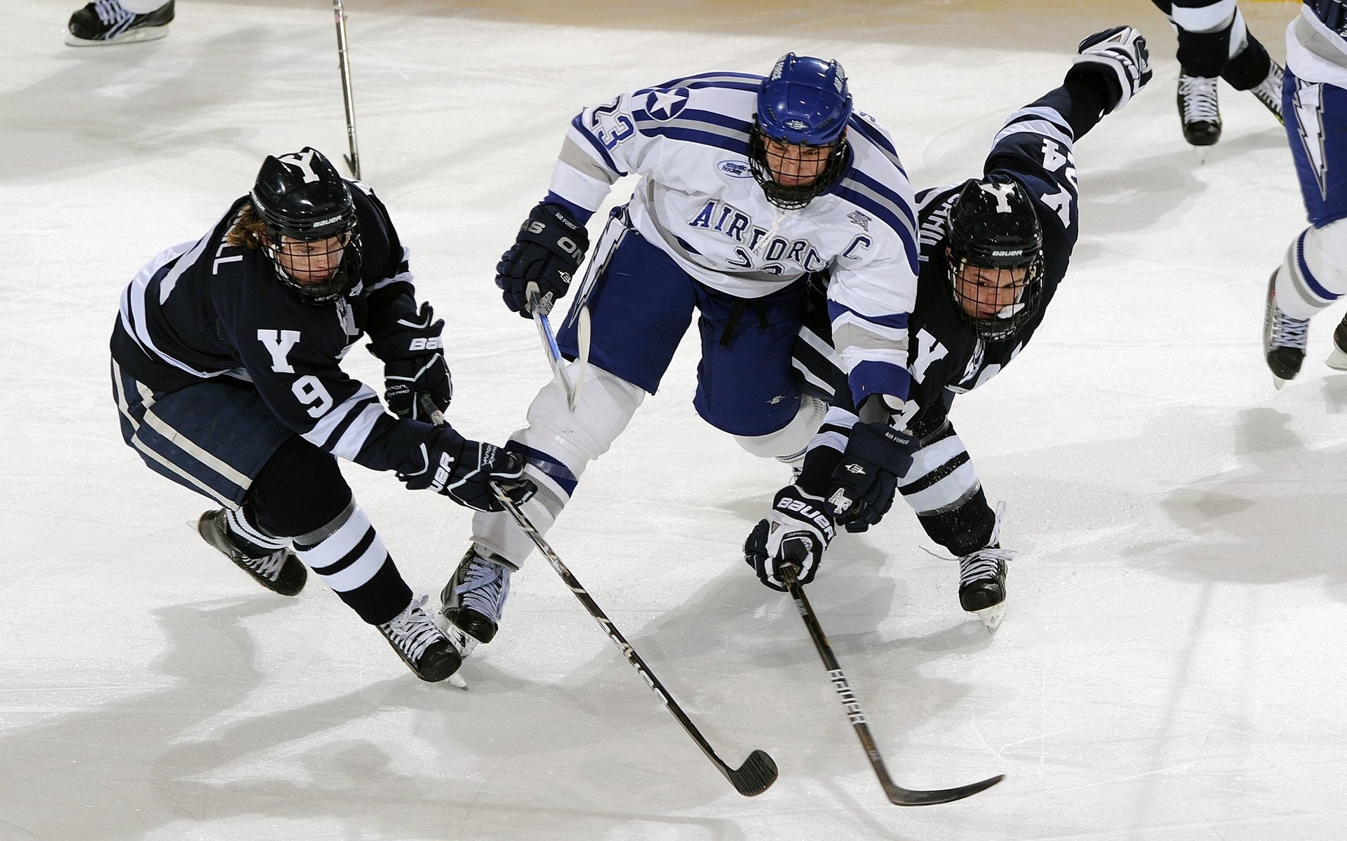 世界攀岩2026年将完善高温天气比赛中暑干预流程