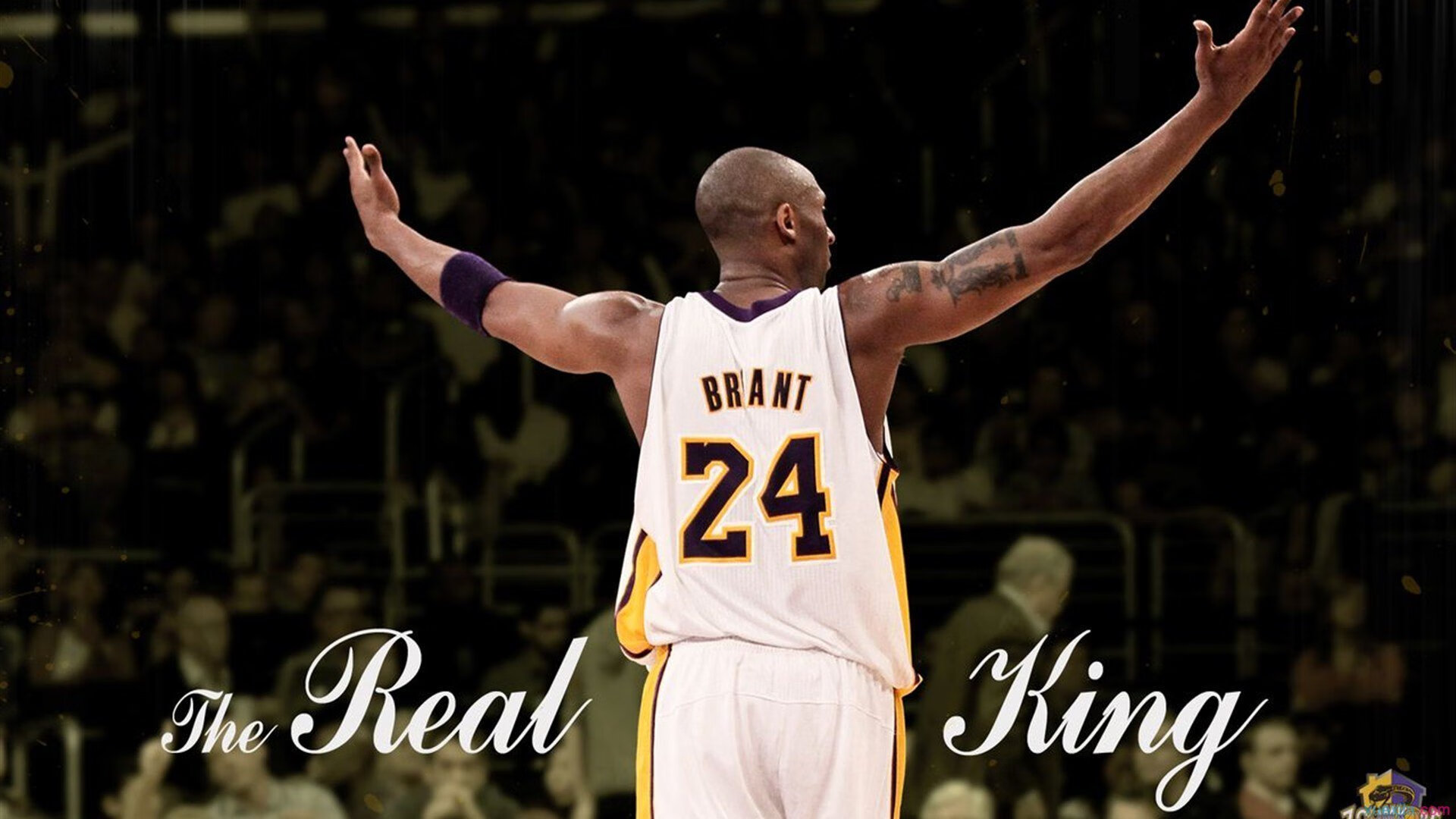 羽联超级1000赛南京站 国羽两冠两亚收官